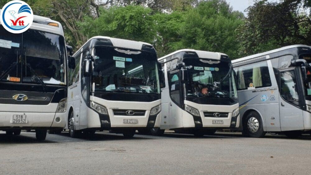 Why Choose Car Rental Services in Vietnam for Business Travel?