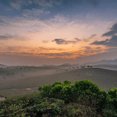 Moc Chau 3D2N Tour from Hanoi Moc Chau 3D2N Tour from Hanoi