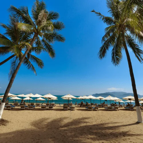 vietnam beaches vietnam beaches