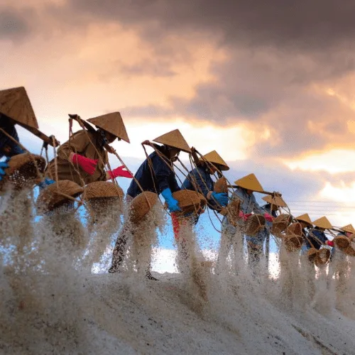 vietnamtour Backpack Tour in Vietnam