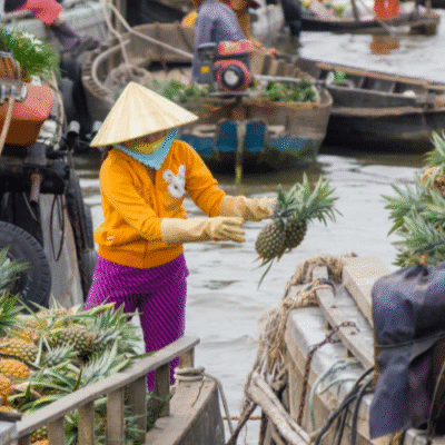 cu chi tunnels mekong delta tour – Discovering Vietnam’s Hidden Treasures