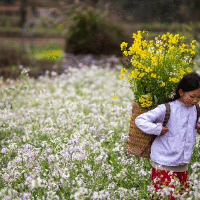 Ha Giang Loop Tour from Hanoi – A Journey into Vietnam’s Majestic Northern Highlands
