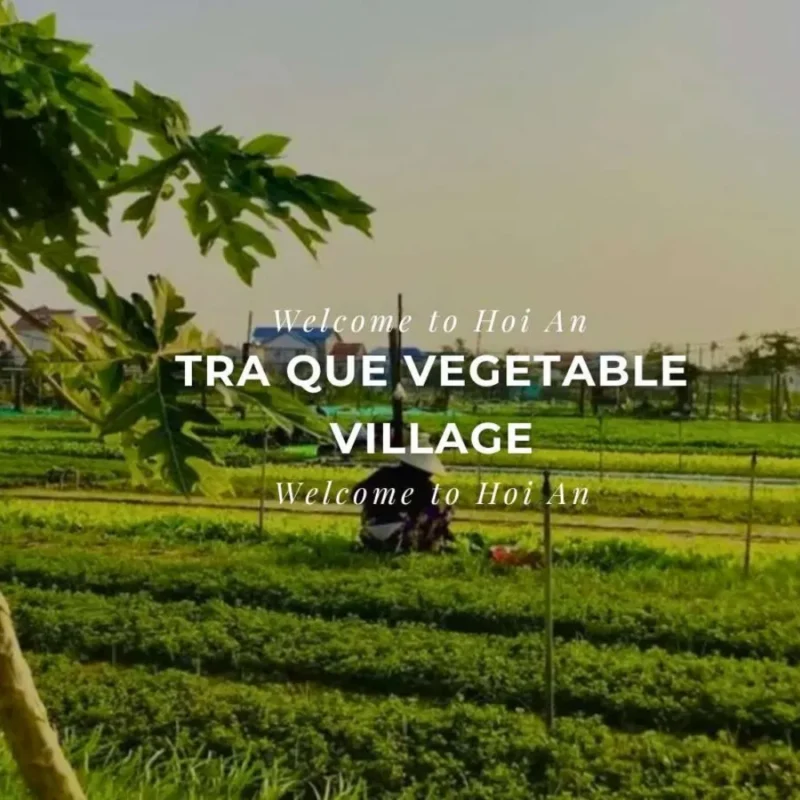 Discover Hoi An Herb Village: Heritage, Herbs & Cultural Experiences