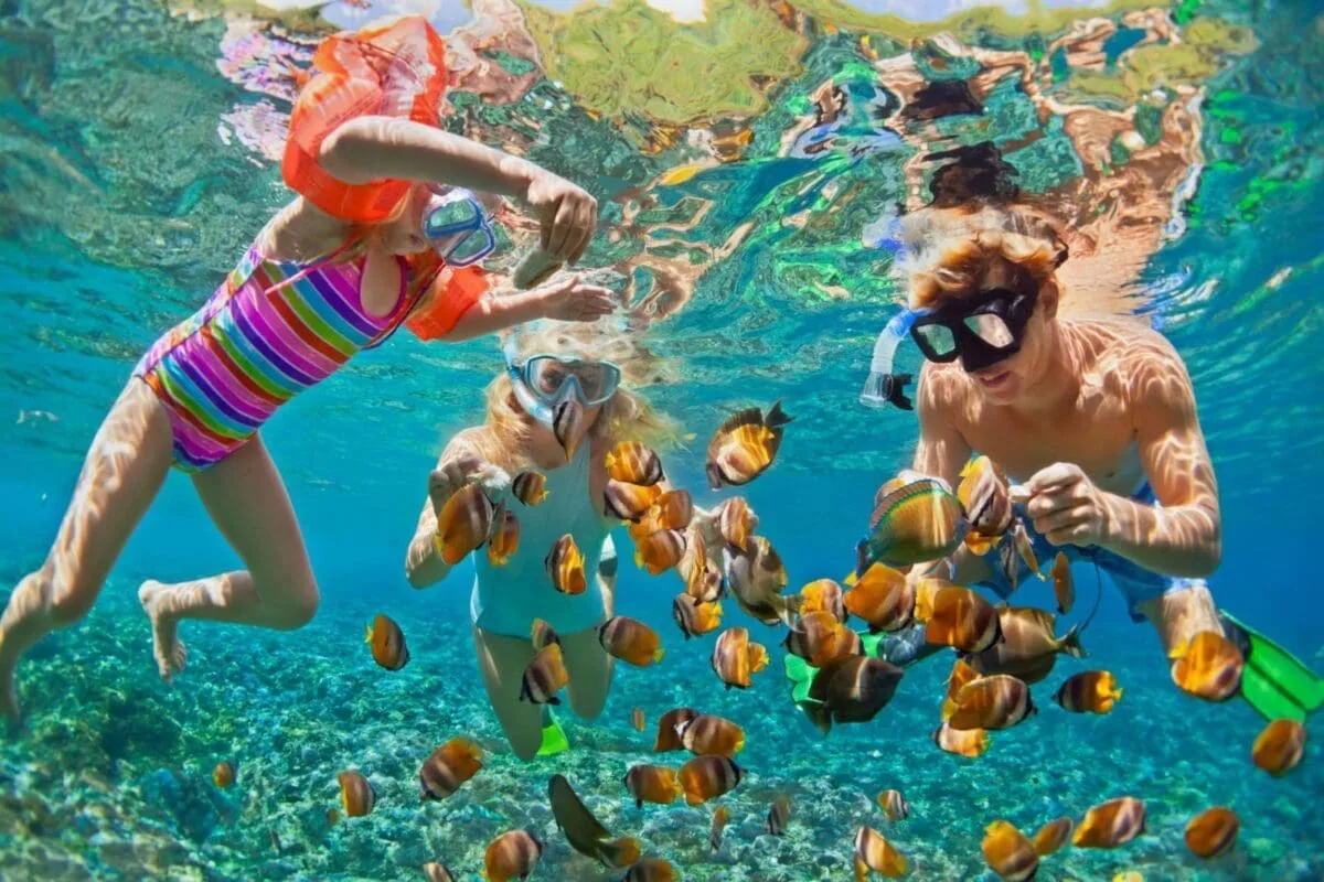 Snorkelling Tour in Phu Quoc Snorkelling Tour in Phu Quoc
