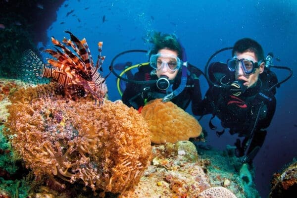 Snorkelling Tour in Phu Quoc: Discover Vibrant Marine Life and Beautiful Coral Reefs!
