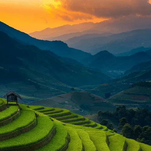 best time of year to go to vietnam best time of year to go to vietnam
