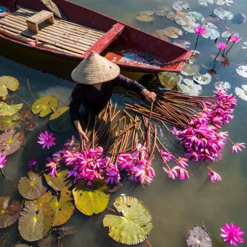 best time of year to go to vietnam best time of year to go to vietnam