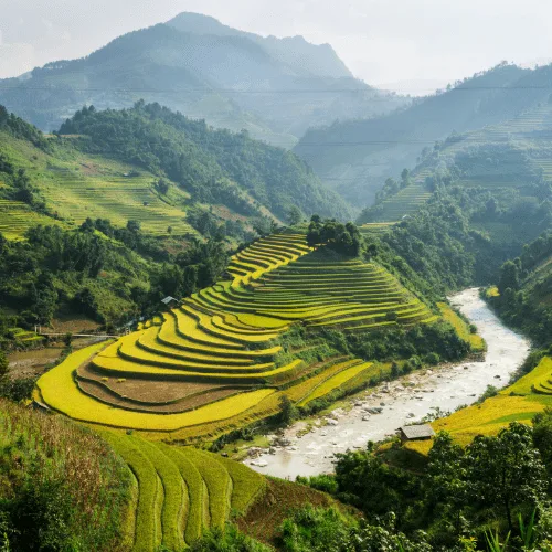 best time of year to go to vietnam best time of year to go to vietnam