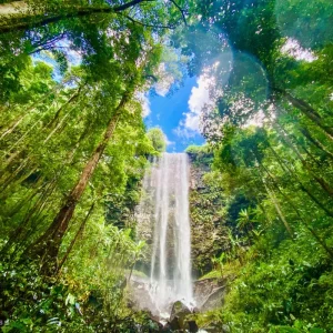 Da Lat – Buon Ma Thuot – Pleiku – Kon Tum 10