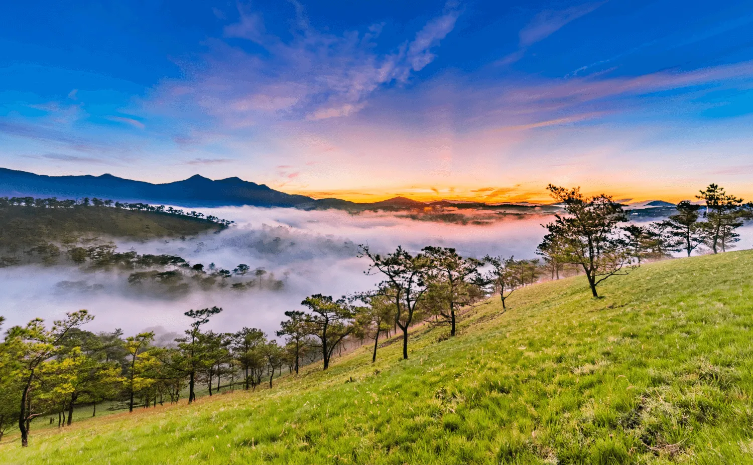 Da Lat Night Food Tour: Unforgettable Culinary Adventure