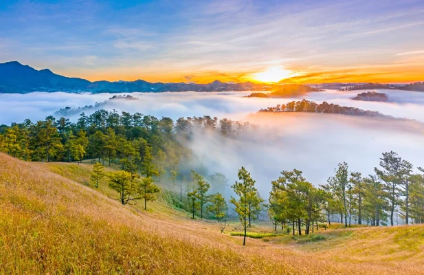 Da Lat kávová túra na místní plantáže