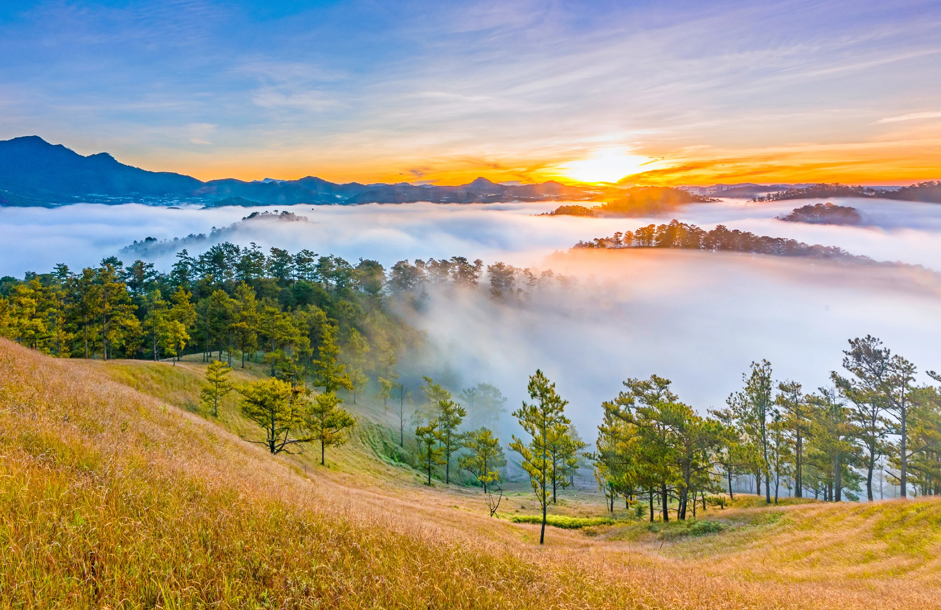 vietnamtour Da Lat small group tours showcasing Vietnam's beauty