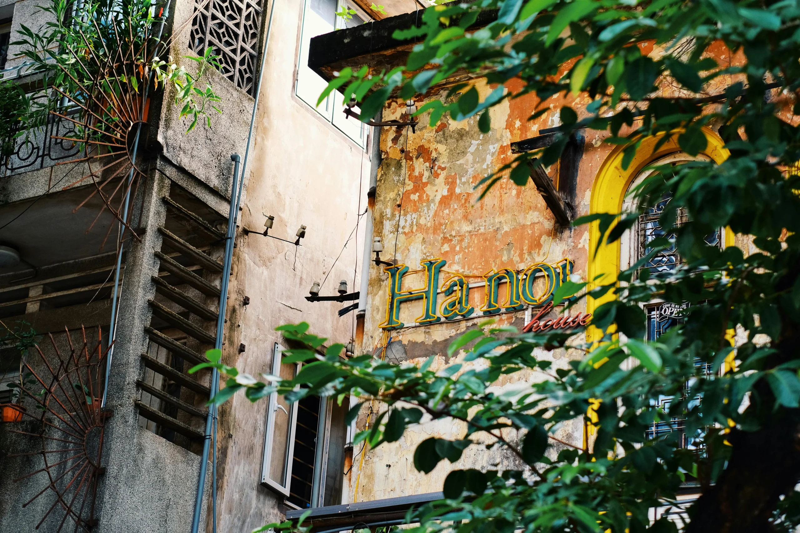 Hanoi Cooking Class Experience in Tranquil Haven