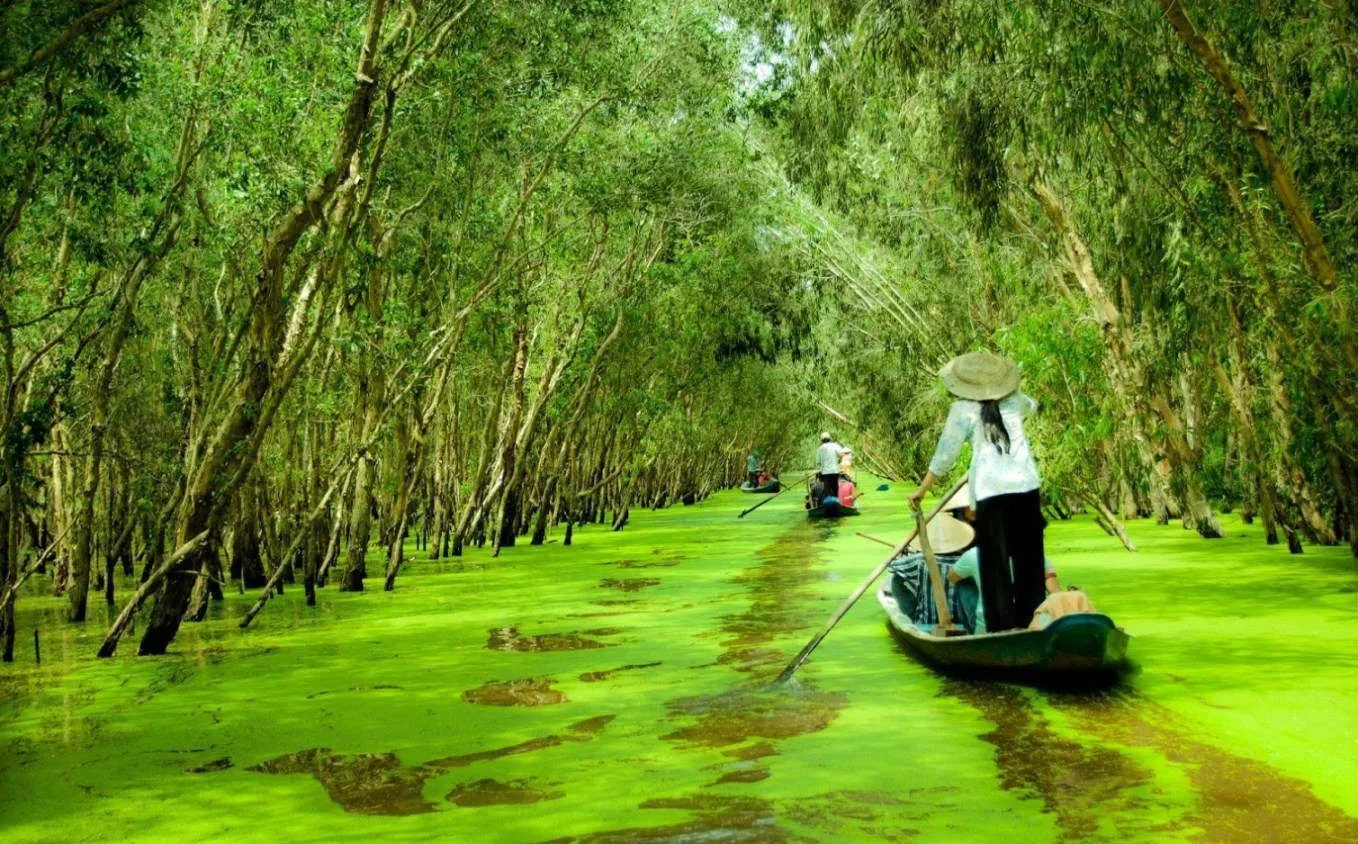 Explore a Mekong Delta Food Tour at Sunset
