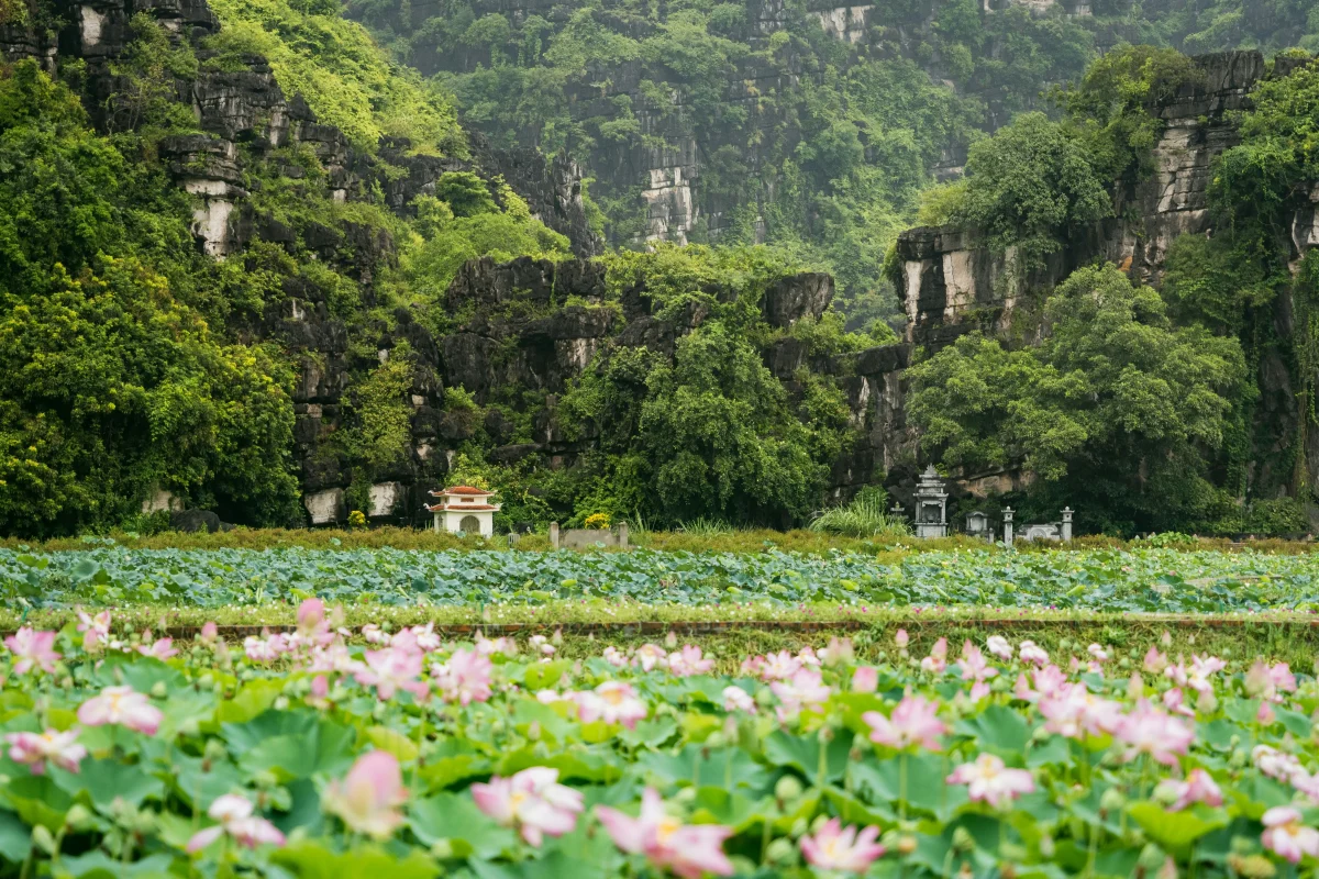 Z Hanoja do Ninh Binh: Súkromný výlet