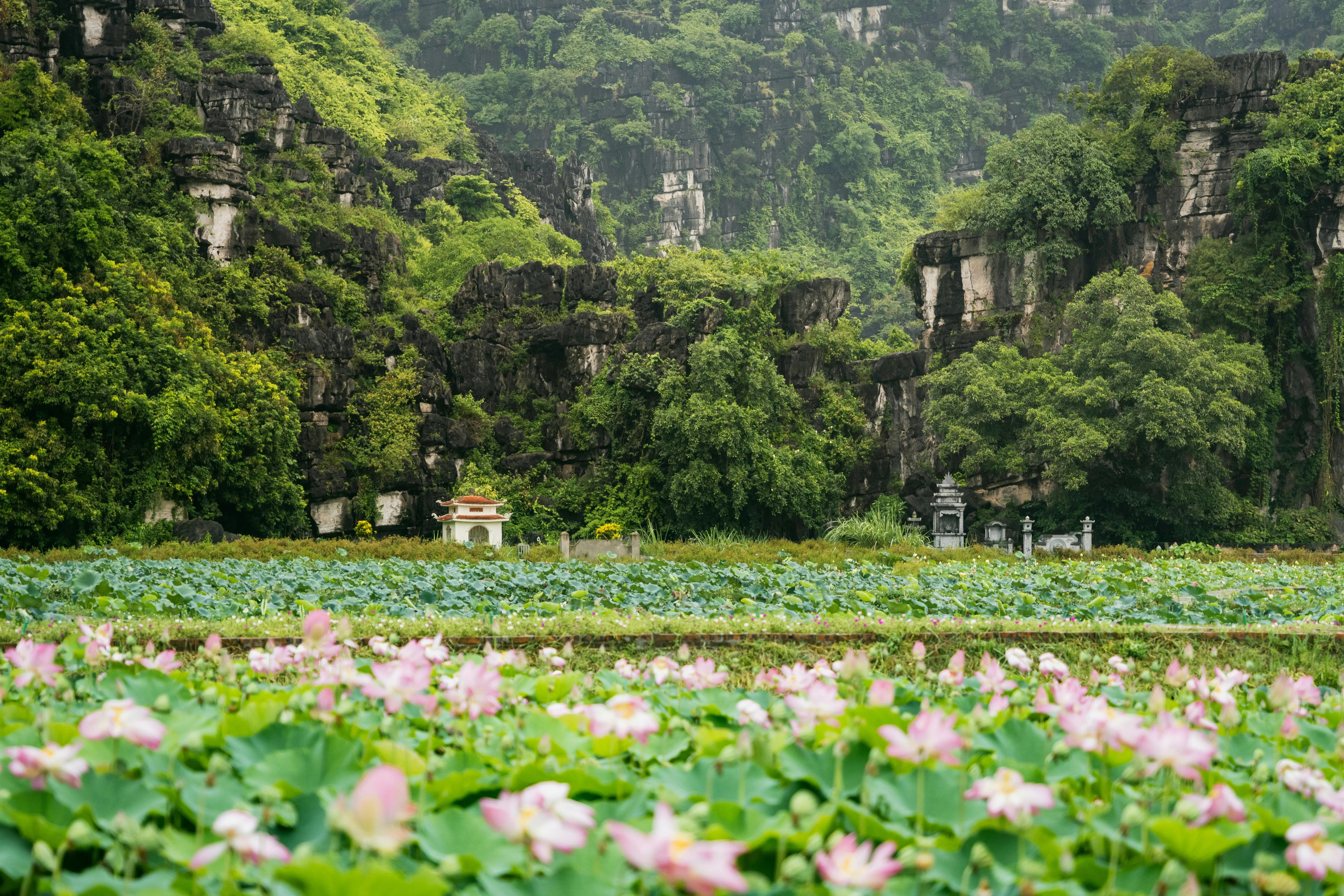 vietnamtour Glade besøkende på dagstur ninh binh nyter lokal lunsj med spesialtilpasset kosthold