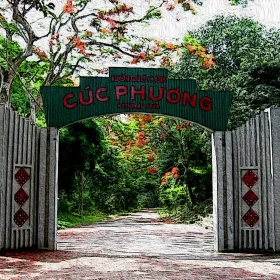 Barca Ninh Binh: Recorrido Privado sin Filas