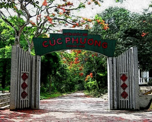 Barca Ninh Binh: Recorrido Privado sin Filas