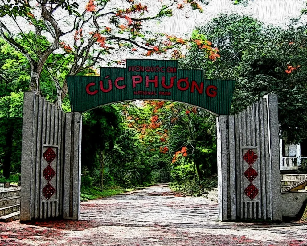 Barca Ninh Binh: Recorrido Privado sin Filas