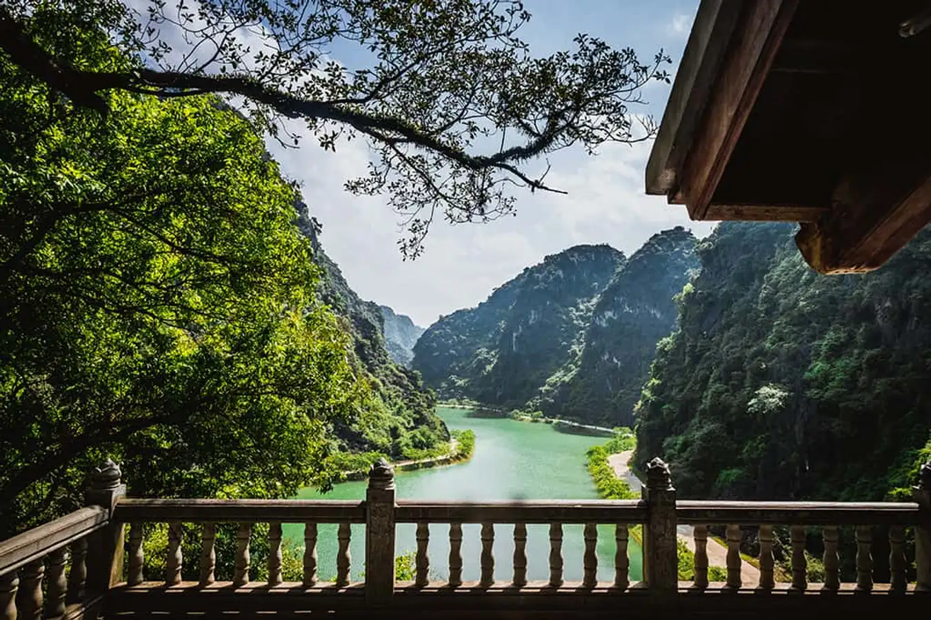 vietnamtour Ein Guide erklärt die Flora in der Son Doong Höhle, der größten Höhle der Welt.