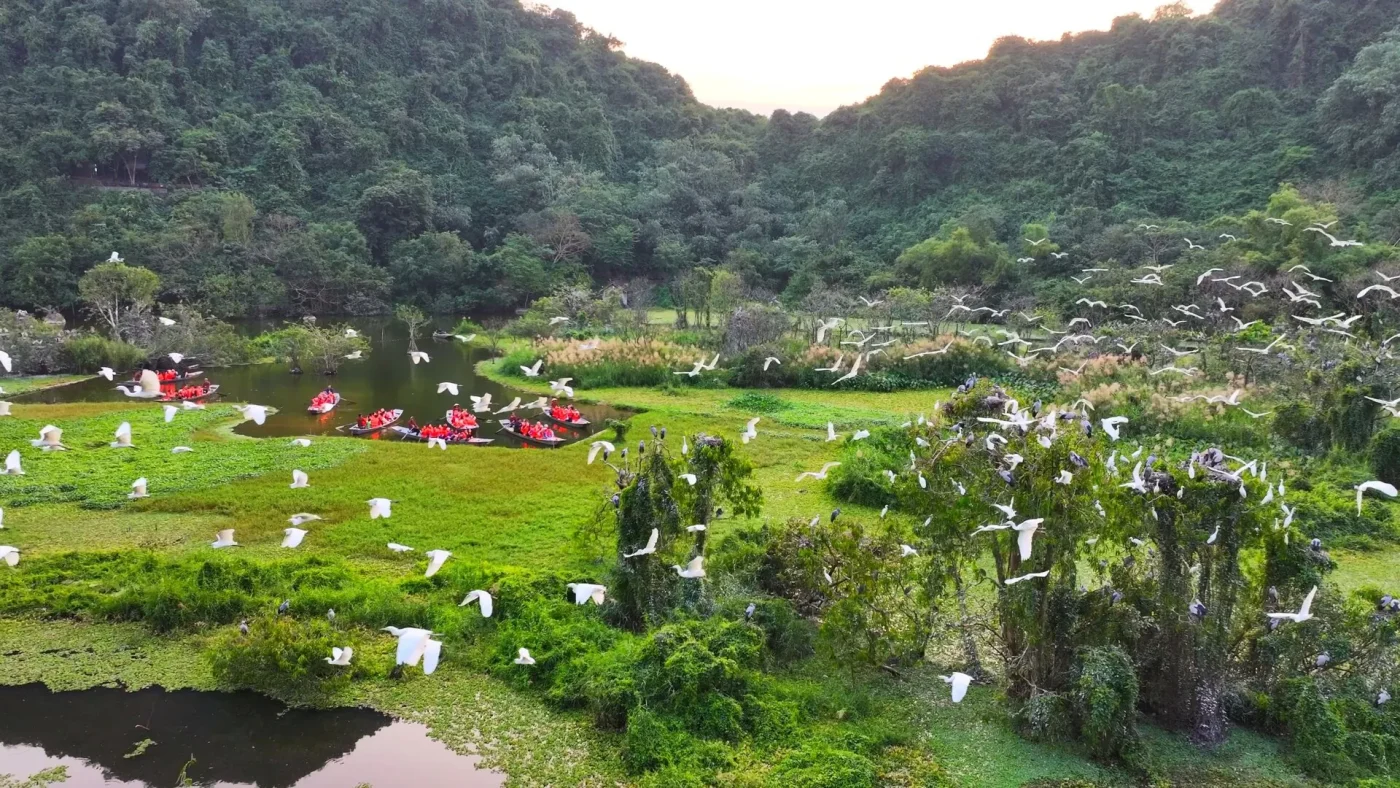 Wycieczka Ninh Binh z Hanoi: Złota prywatna trasa