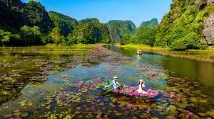 vietnamtour طبق فيتنامي حلال من الفو والخضروات الطازجة خلال جولة نينه بينه.
