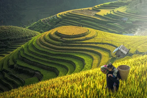 Vietnam Private Tour Packages from Chicago